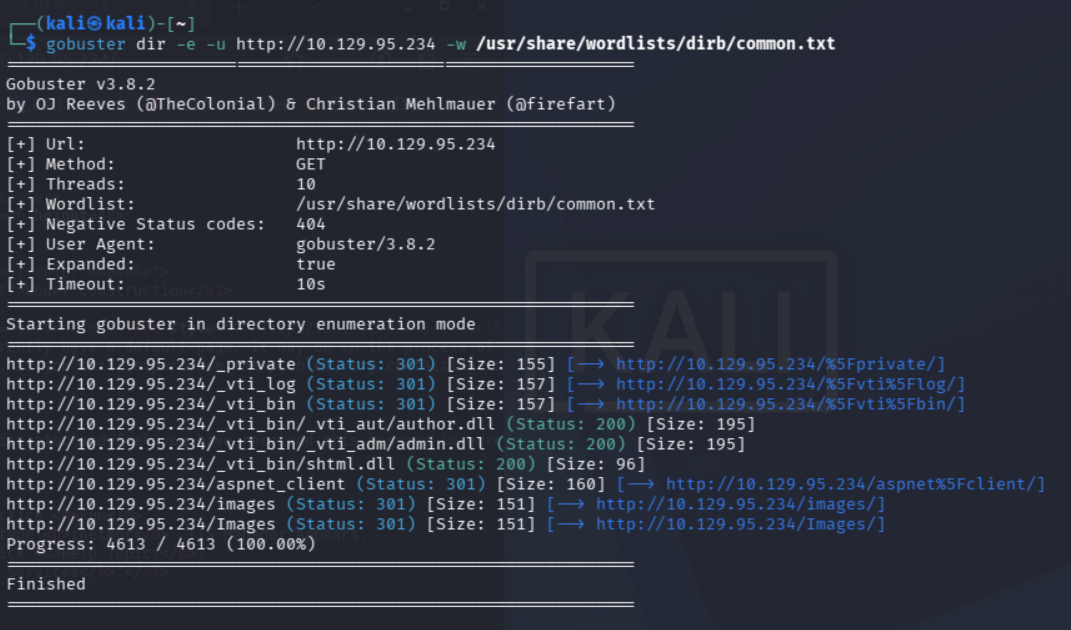 Fuzzing de directorios con Gobuster